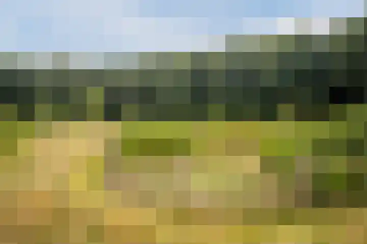 Okkenbroekerveldweg 1 C Okkenbroek thumbnail 41