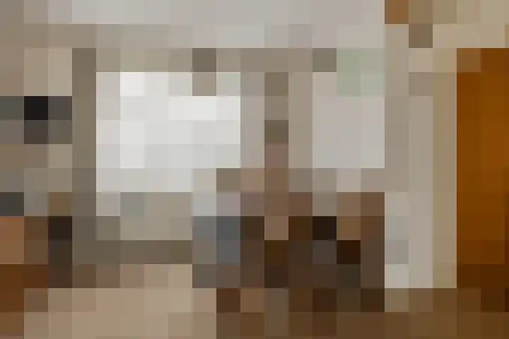 Okkenbroekstraat 10 Nieuw Heeten thumbnail 11