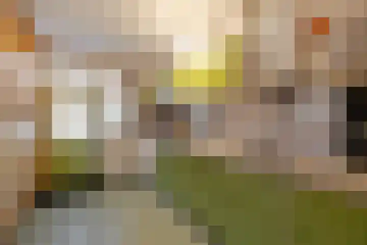 Okkenbroekstraat 10 Nieuw Heeten thumbnail 12