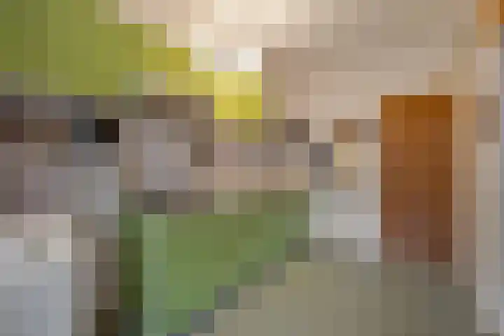 Okkenbroekstraat 10 Nieuw Heeten thumbnail 13