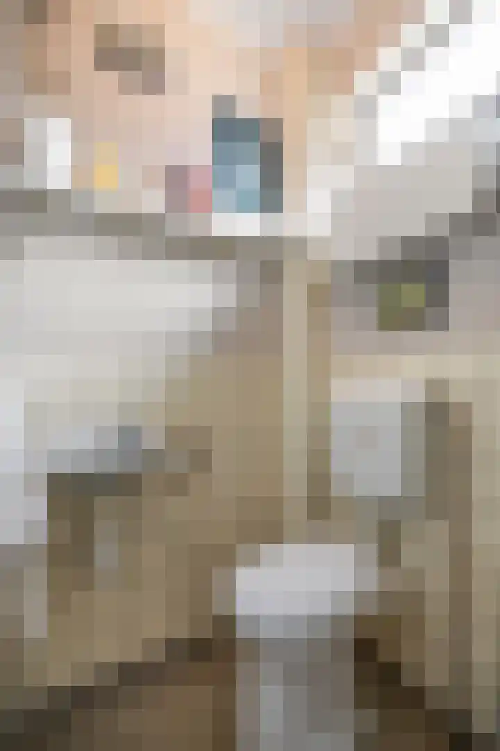 Okkenbroekstraat 10 Nieuw Heeten thumbnail 14