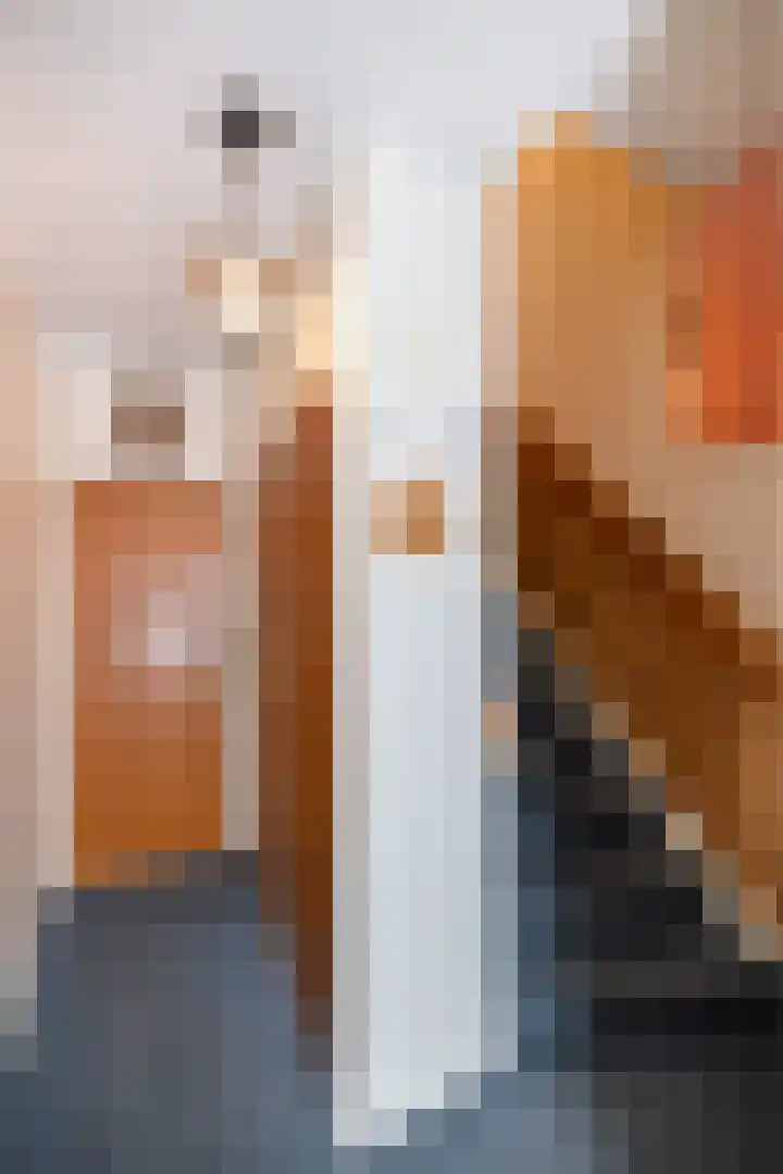Okkenbroekstraat 10 Nieuw Heeten thumbnail 15