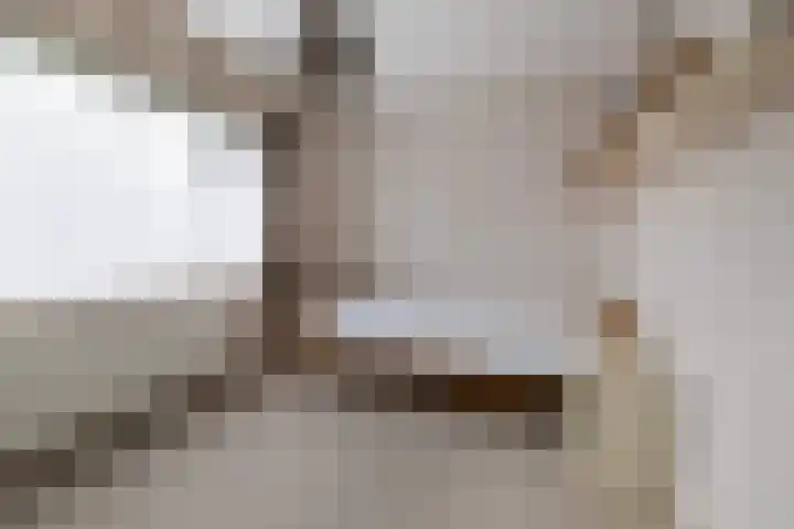 Okkenbroekstraat 10 Nieuw Heeten thumbnail 18