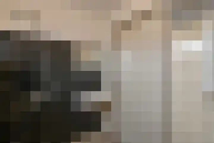Okkenbroekstraat 10 Nieuw Heeten thumbnail 20