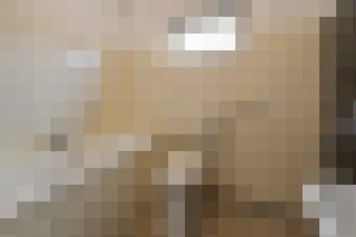Okkenbroekstraat 10 Nieuw Heeten thumbnail 21