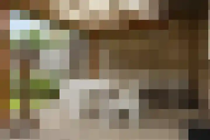 Okkenbroekstraat 10 Nieuw Heeten thumbnail 24