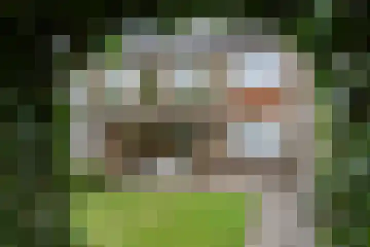 Okkenbroekstraat 10 Nieuw Heeten thumbnail 25