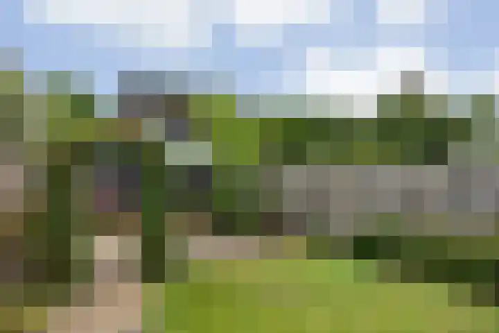 Okkenbroekstraat 10 Nieuw Heeten thumbnail 26