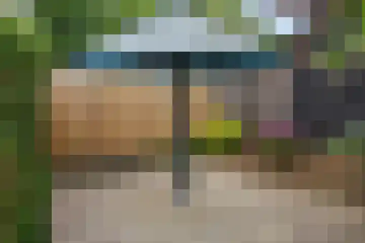 Okkenbroekstraat 10 Nieuw Heeten thumbnail 28