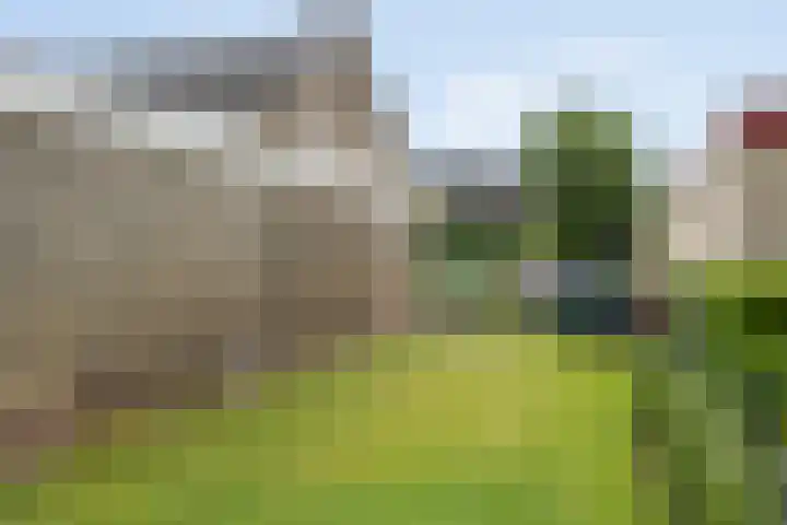 Okkenbroekstraat 10 Nieuw Heeten thumbnail 29