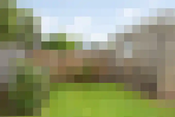 Okkenbroekstraat 10 Nieuw Heeten thumbnail 31
