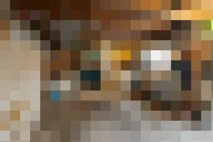 Okkenbroekstraat 10 Nieuw Heeten thumbnail 34
