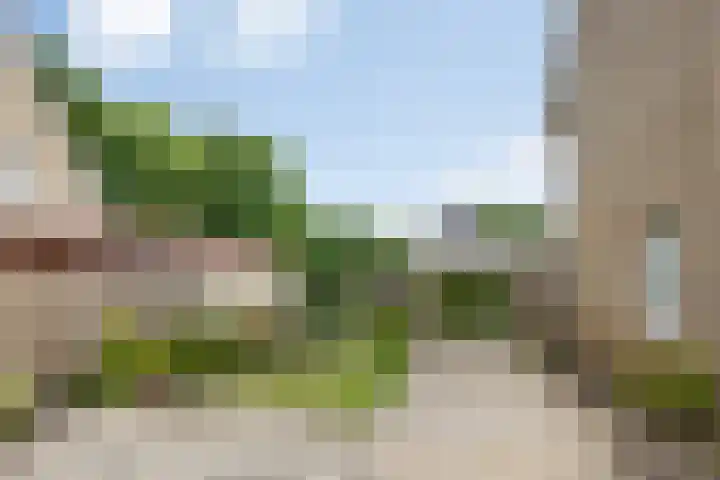 Okkenbroekstraat 10 Nieuw Heeten thumbnail 4