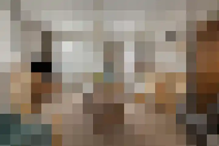 Okkenbroekstraat 10 Nieuw Heeten thumbnail 6