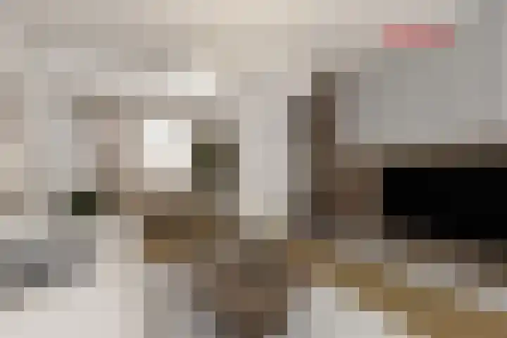 Okkenbroekstraat 10 Nieuw Heeten thumbnail 9