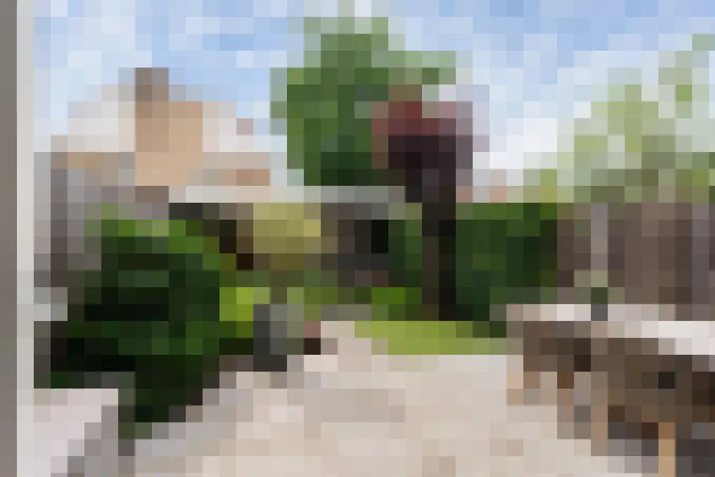 Okkenburg 17 Pijnacker thumbnail 26