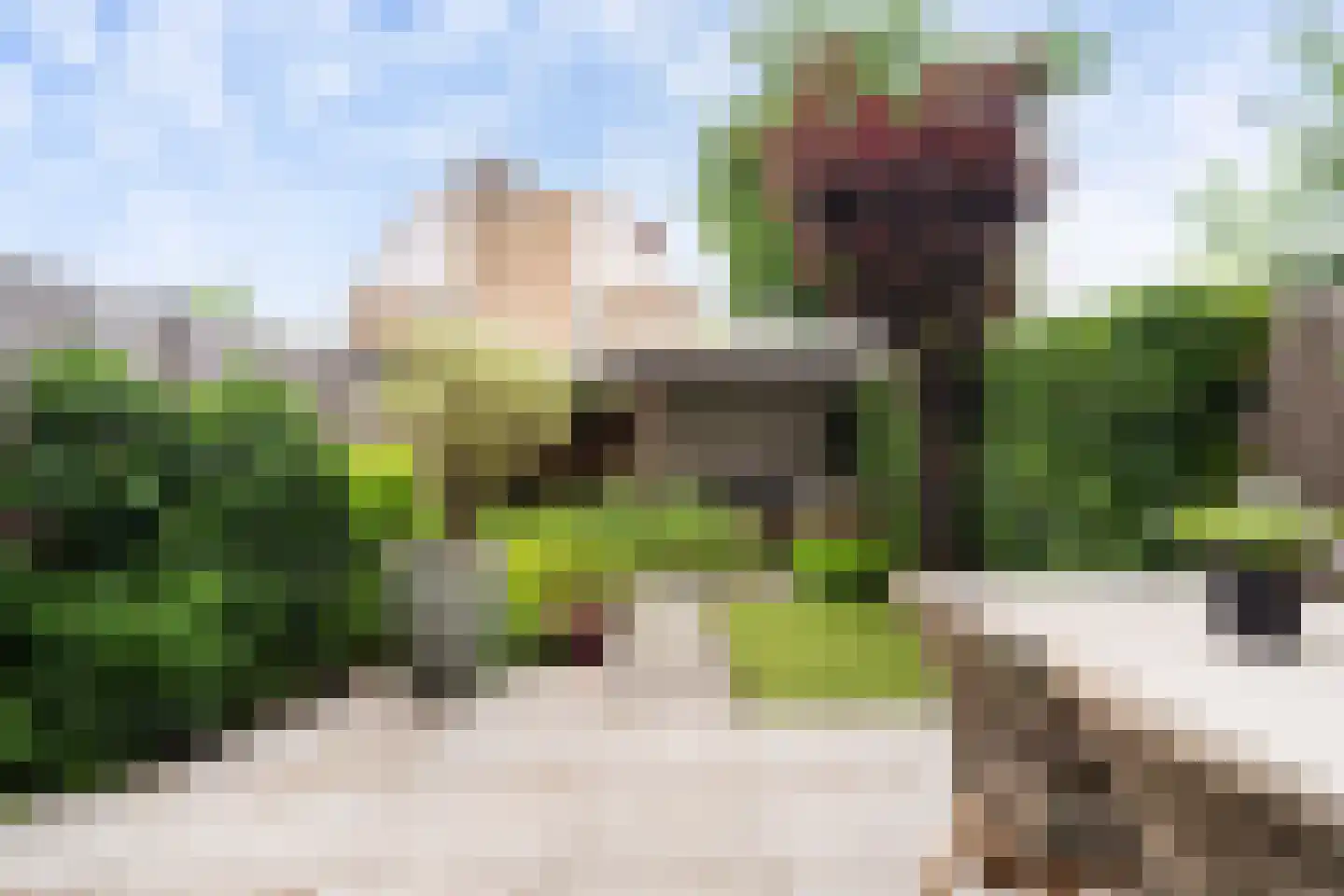Okkenburg 17 Pijnacker thumbnail 4