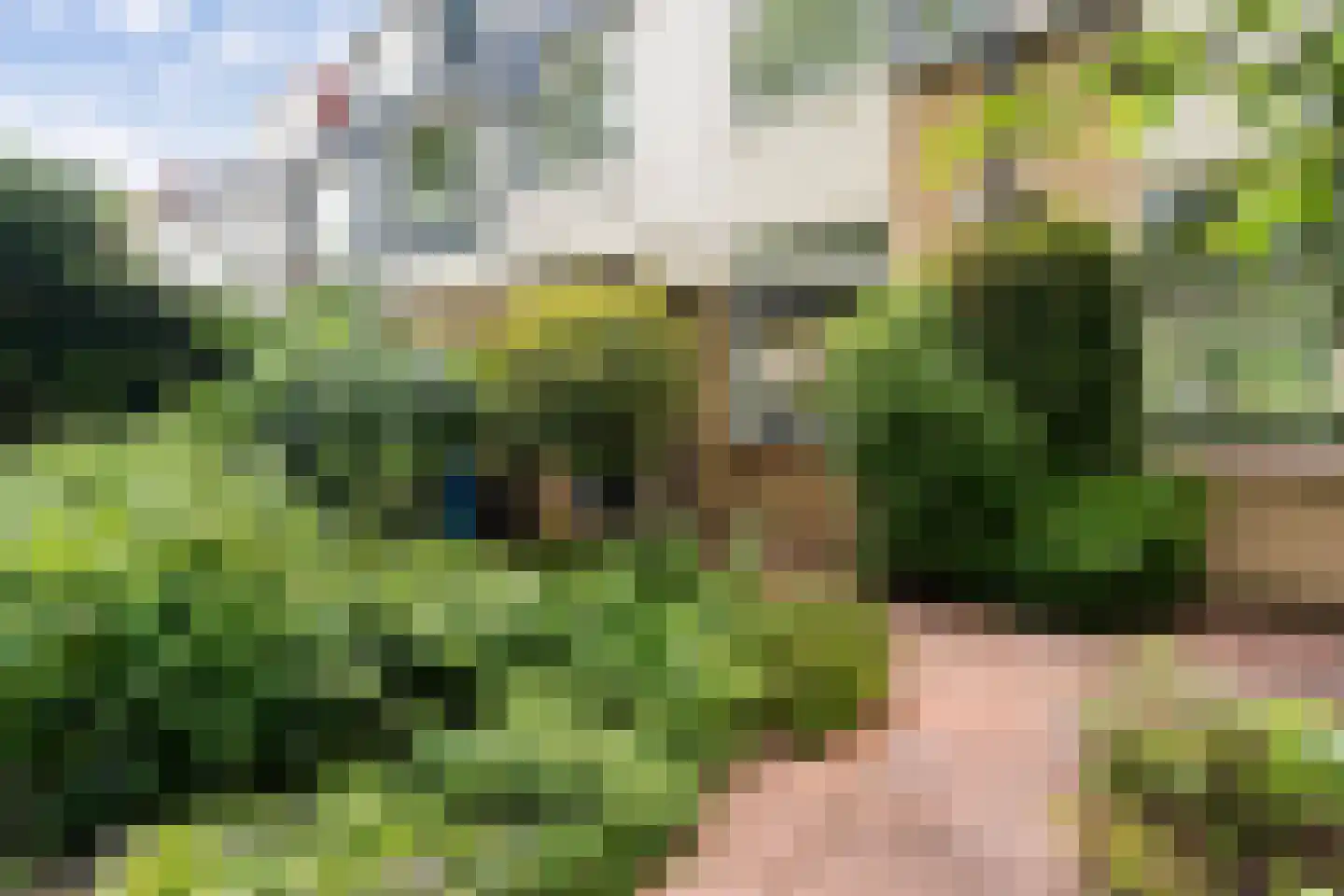 Okkenburg 17 Pijnacker thumbnail 6