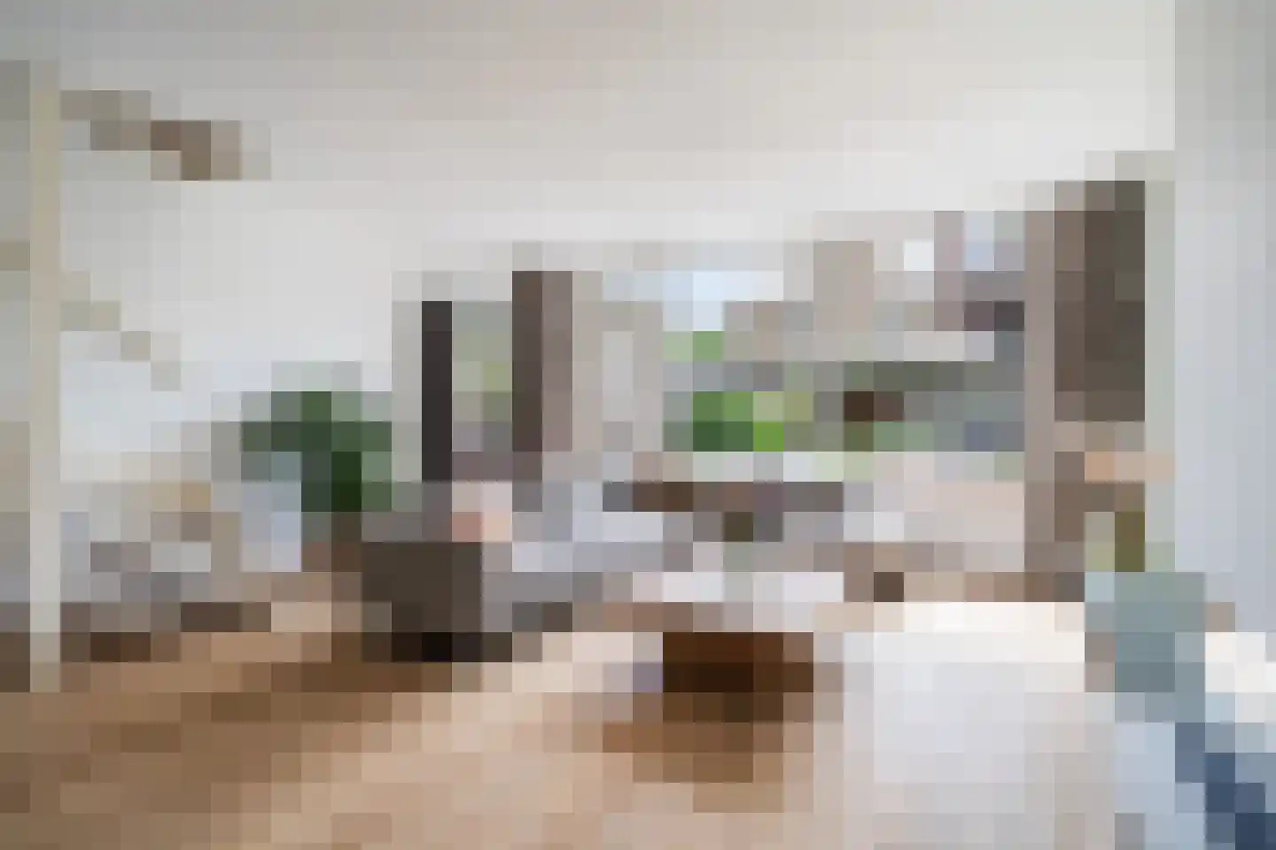 Okkenburg 17 Pijnacker thumbnail 8