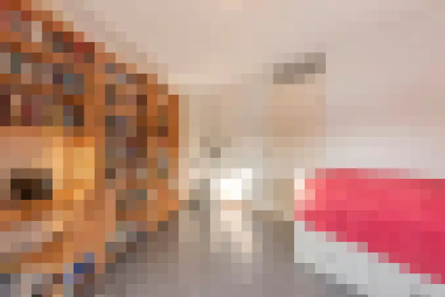Okkernoot 12 Bergen op Zoom thumbnail 25