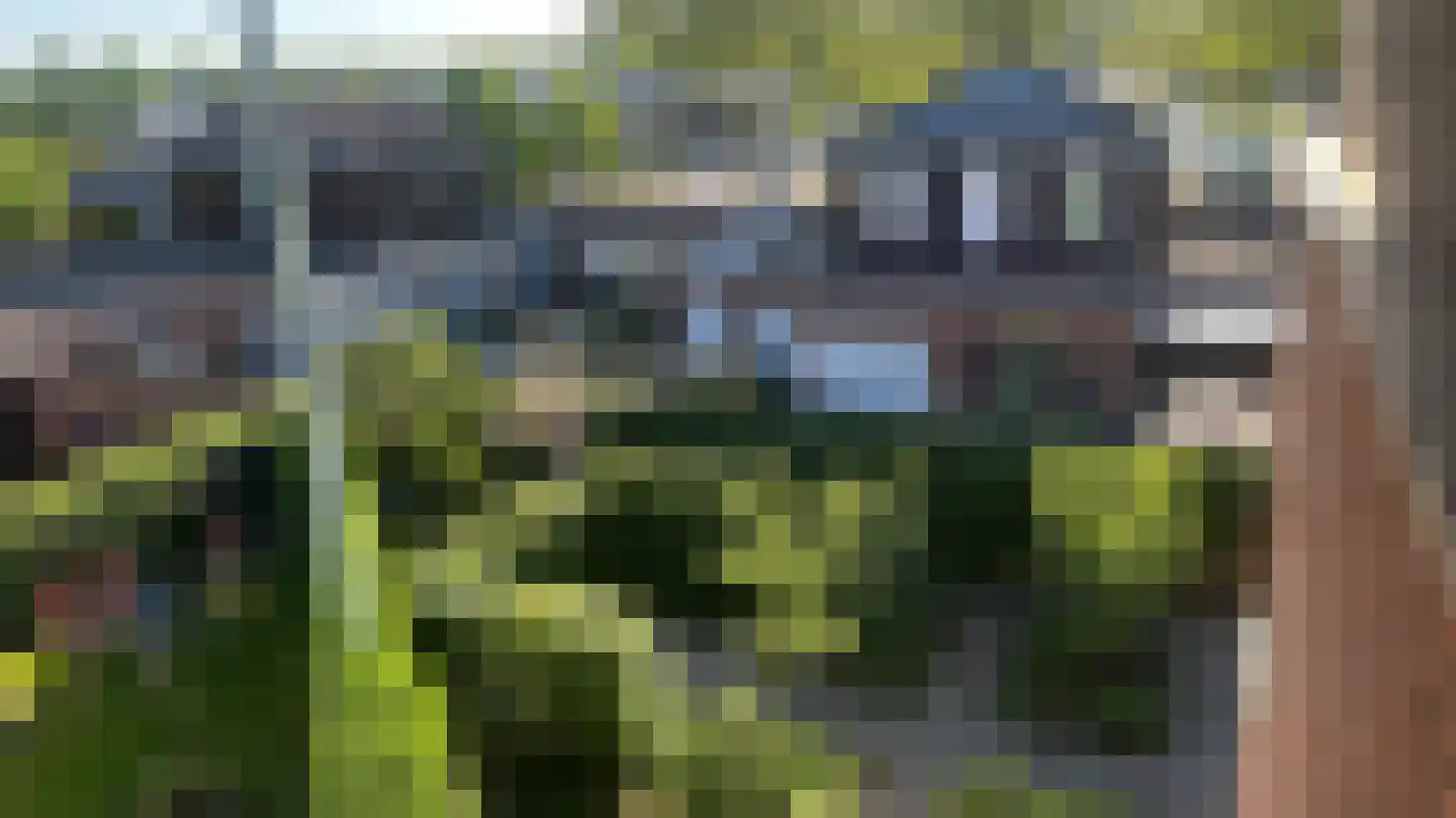 Okkernoot 12 Bergen op Zoom thumbnail 34