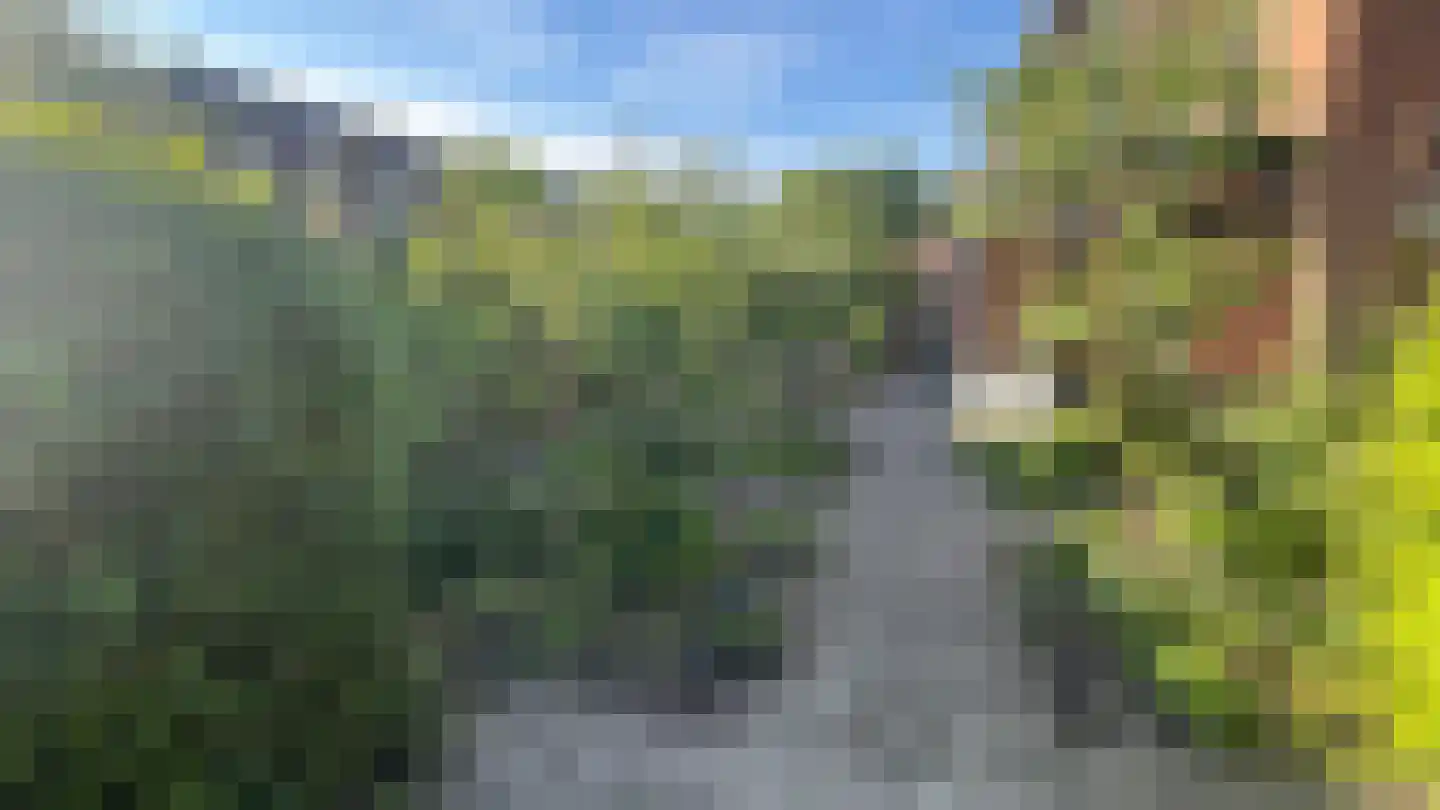 Okkernoot 12 Bergen op Zoom thumbnail 36