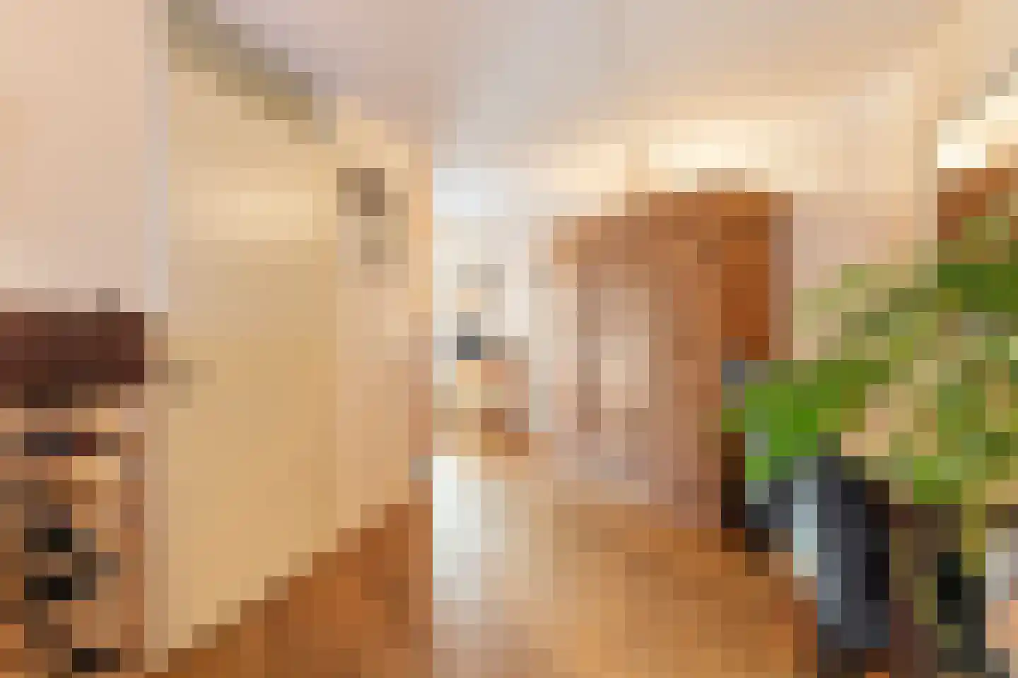 Okkernoot 12 Bergen op Zoom thumbnail 5