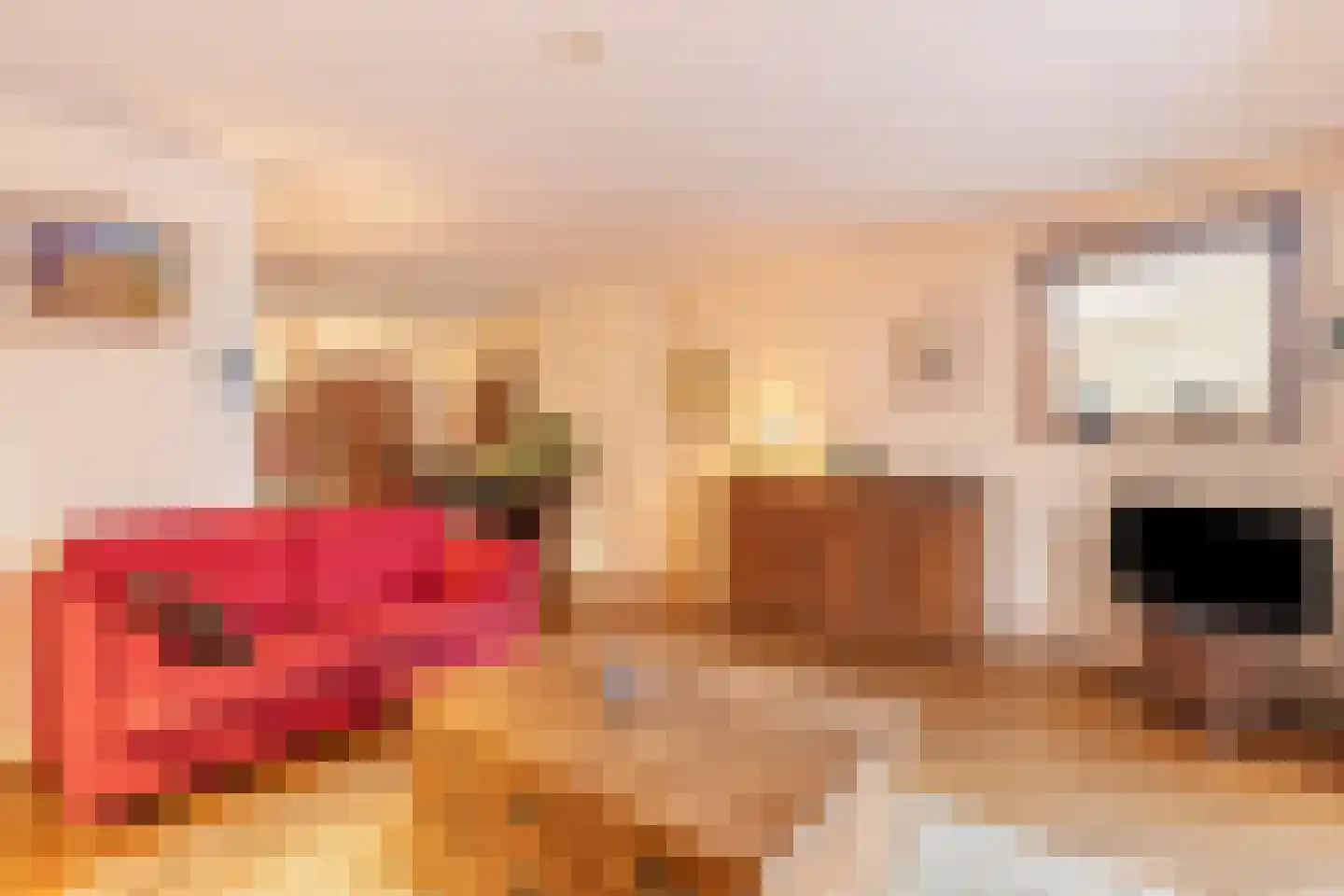 Okkernoot 12 Bergen op Zoom thumbnail 8