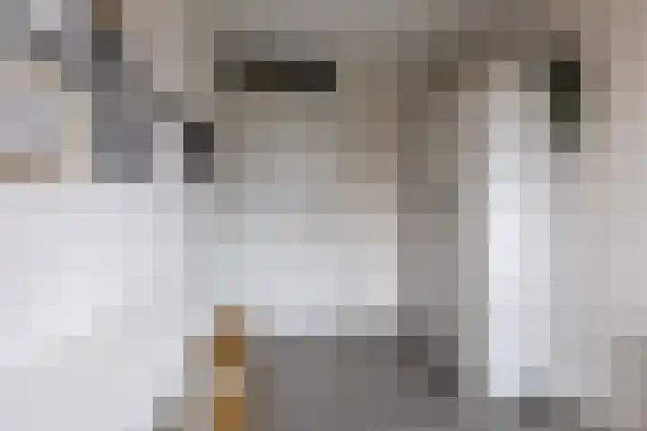 Okkernoot 20 Bergen op Zoom thumbnail 30