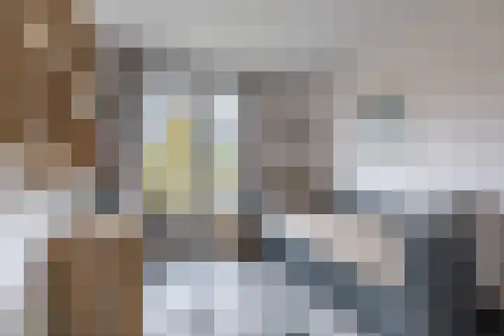 Okkernoot 20 Bergen op Zoom thumbnail 31