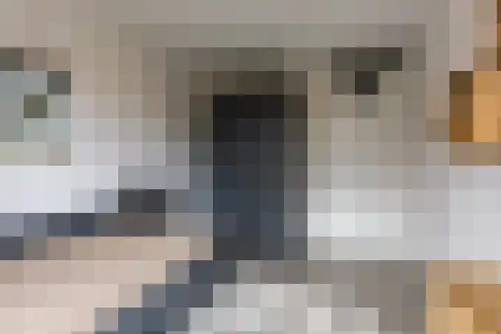 Okkernoot 20 Bergen op Zoom thumbnail 33