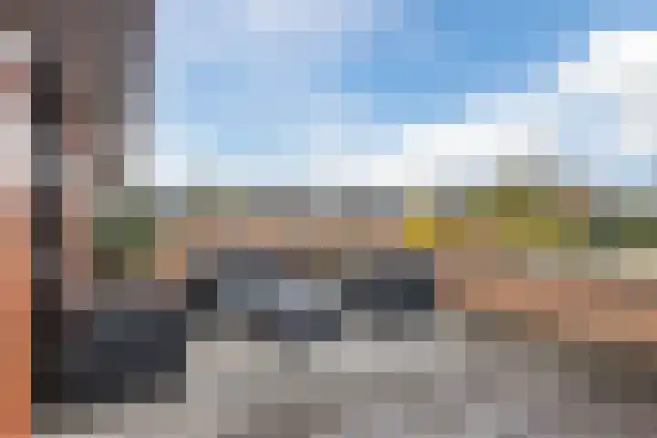 Okkernoot 20 Bergen op Zoom thumbnail 47