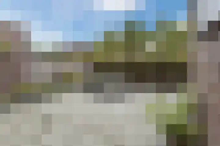 Okkernoot 20 Bergen op Zoom thumbnail 56