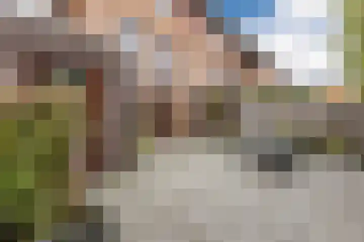 Okkernoot 20 Bergen op Zoom thumbnail 57