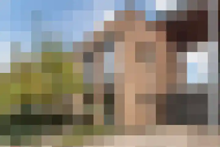 Okkernoot 20 Bergen op Zoom thumbnail 6