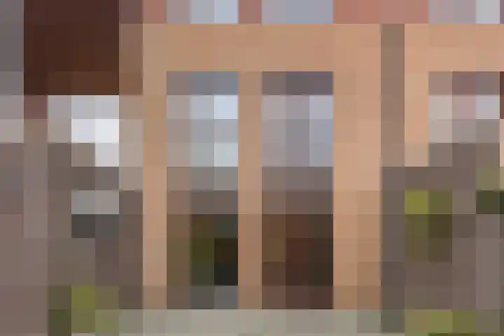 Okkernoot 20 Bergen op Zoom thumbnail 60