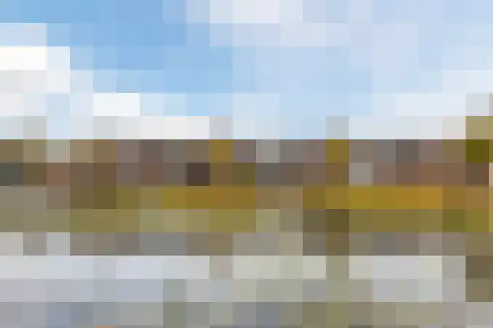 Okkernoot 20 Bergen op Zoom thumbnail 64