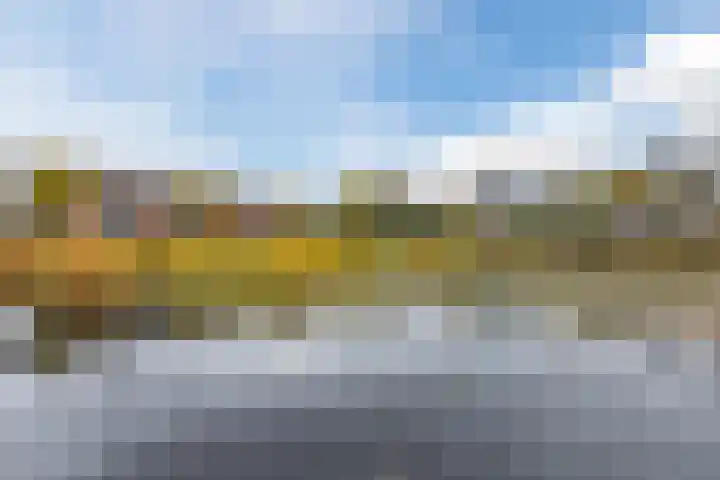 Okkernoot 20 Bergen op Zoom thumbnail 65