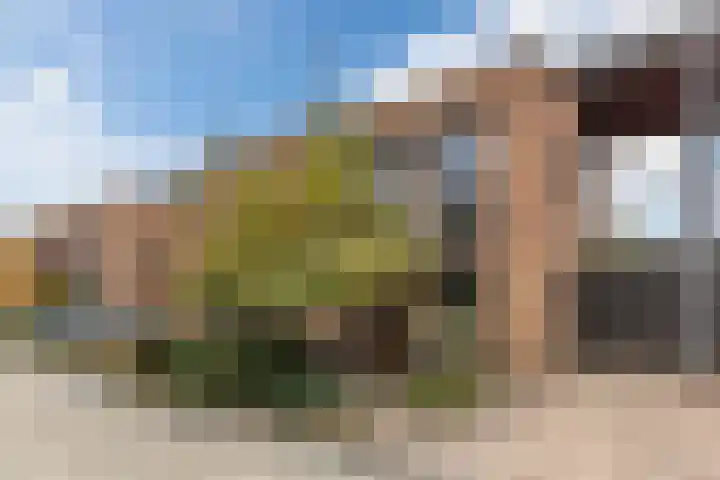 Okkernoot 20 Bergen op Zoom thumbnail 8