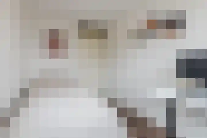 Okkernoot 26 Bergen op Zoom thumbnail 31