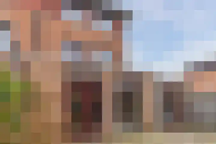 Okkernoot 26 Bergen op Zoom thumbnail 51