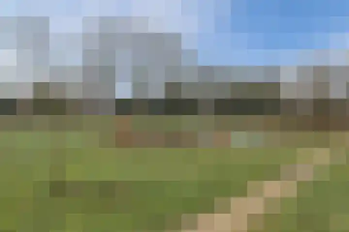 Okkernoot 26 Bergen op Zoom thumbnail 56