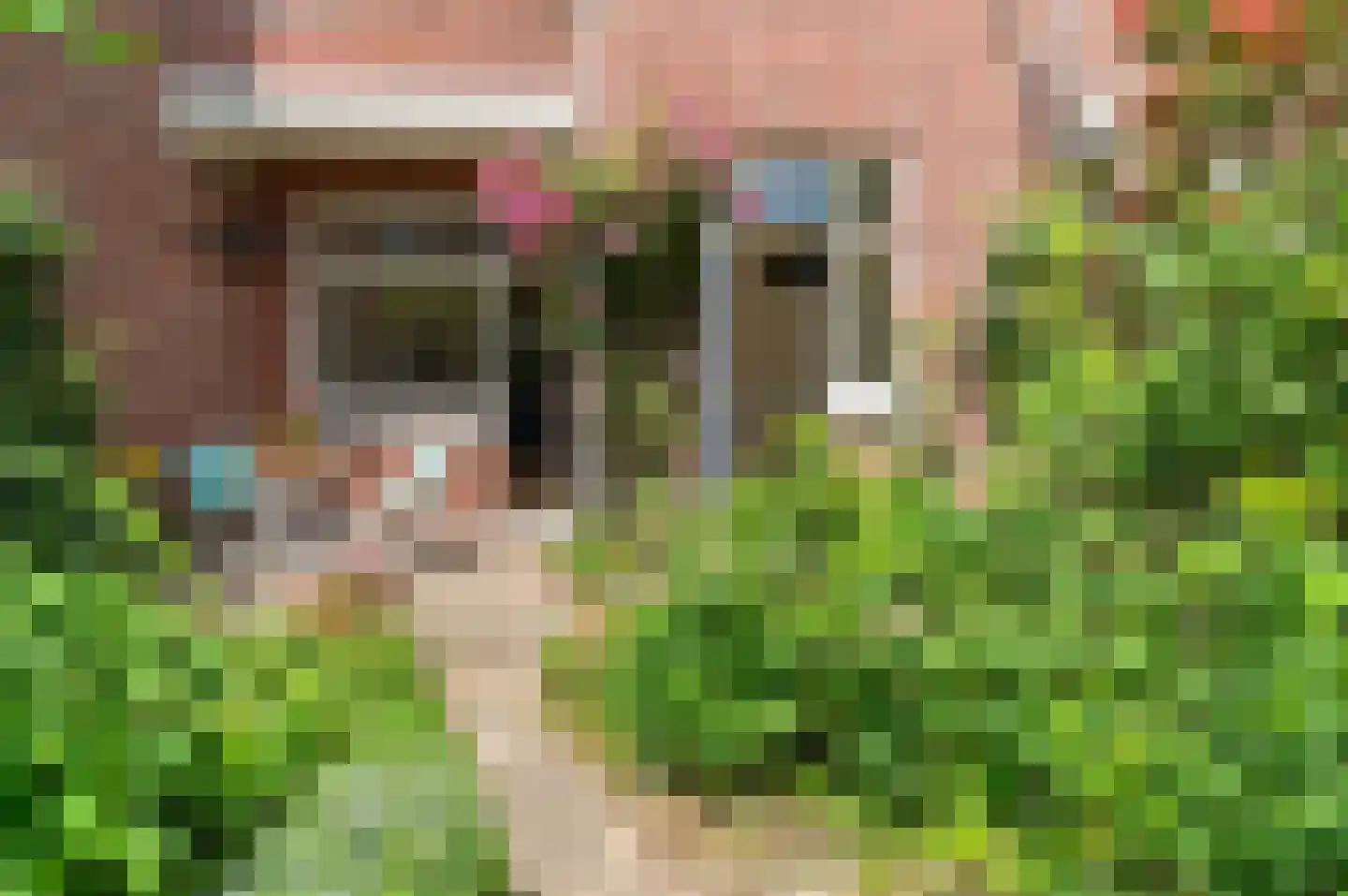 Okkernootstraat 146 Den Haag thumbnail 16