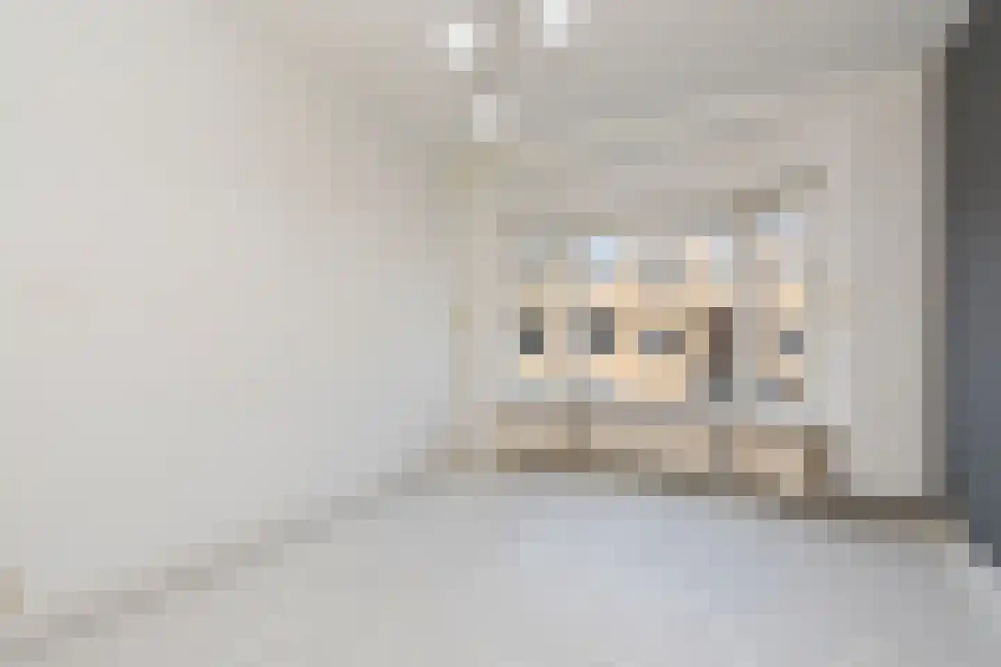 Okkernootstraat 186 Den Haag thumbnail 14