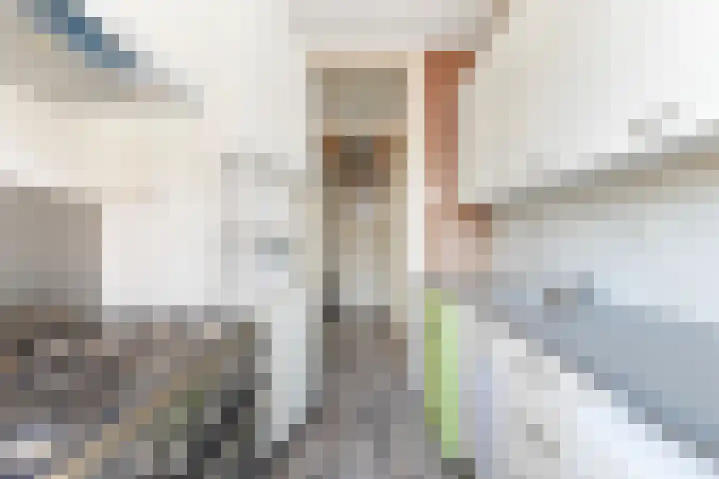 Okkernootstraat 186 Den Haag thumbnail 4