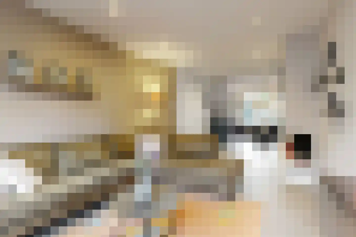 Okkernootstraat 188 Den Haag thumbnail 7