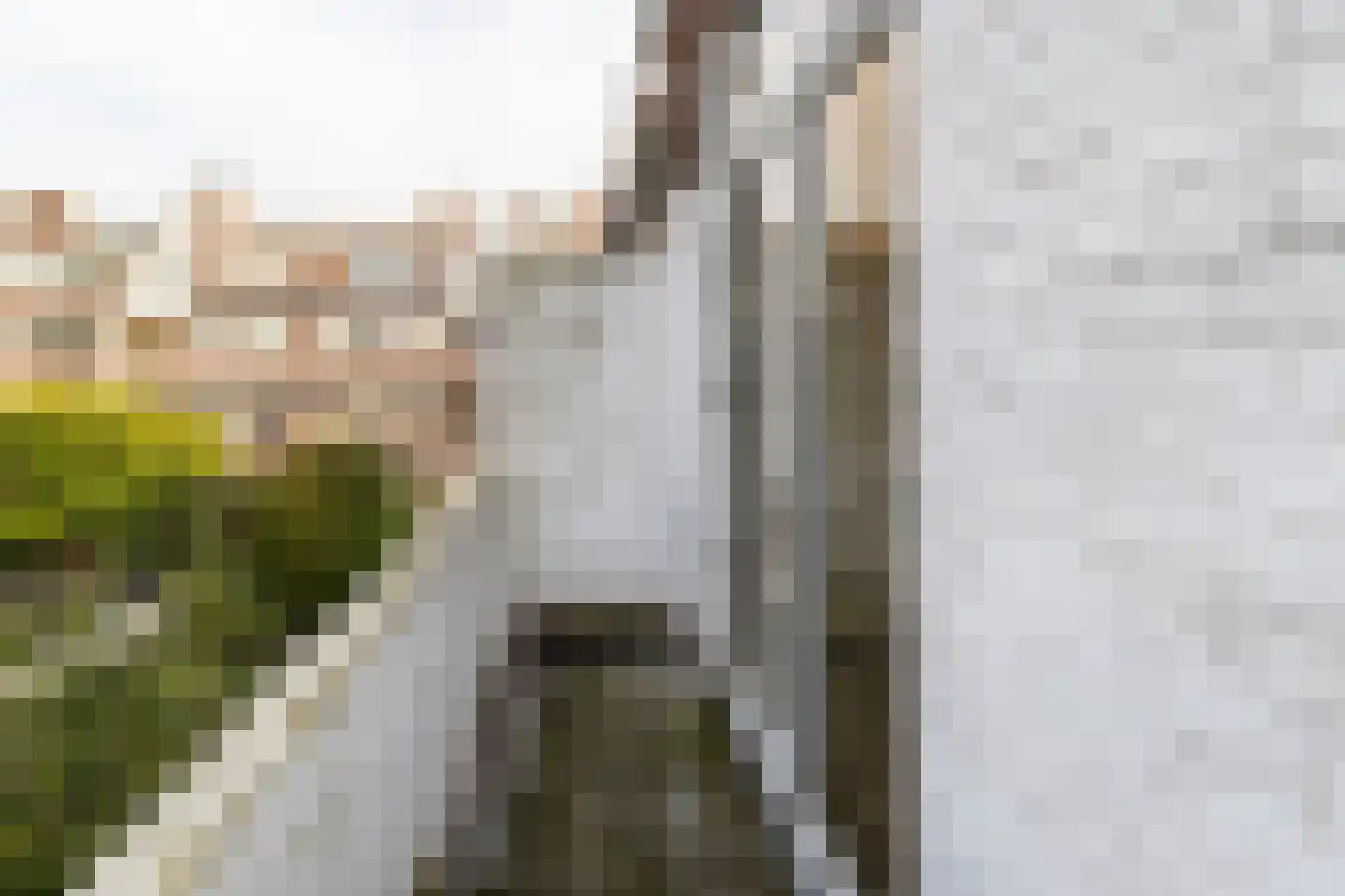 Okkernootstraat 41 Den Haag thumbnail 16