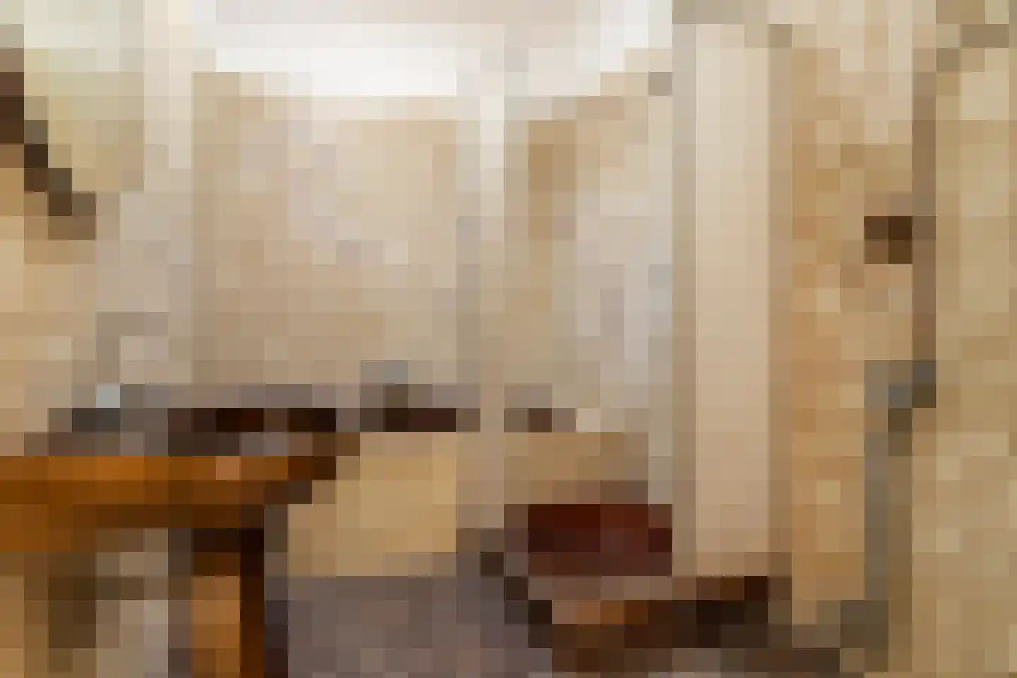 Okkernootstraat 41 Den Haag thumbnail 5