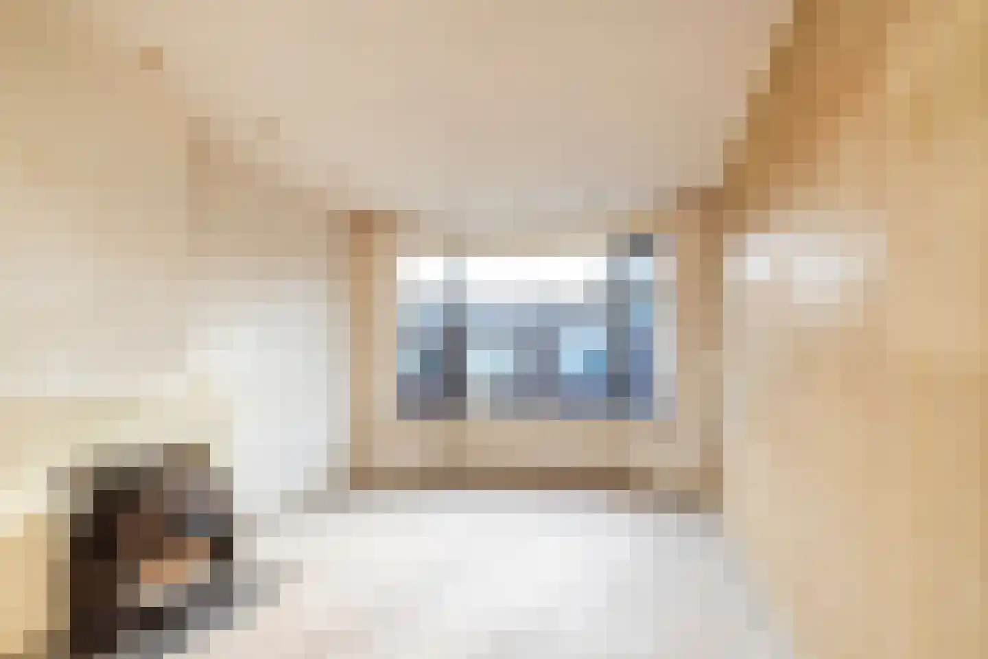 Okkernootstraat 41 Den Haag thumbnail 7
