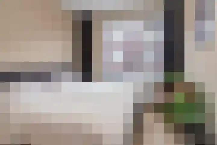 Okkernootstraat 57 Den Haag thumbnail 20